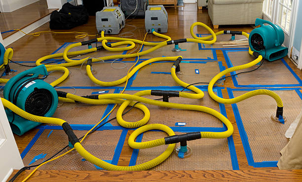 Professional Structural Drying And Dehumidification technician working in Mercer Island, WA
